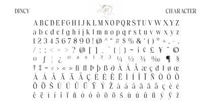 Dincy Font Poster 6