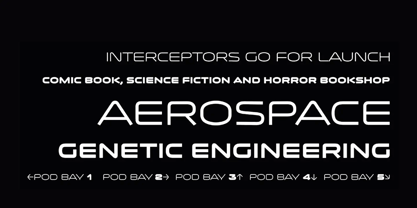 Metaluna Font Poster 6