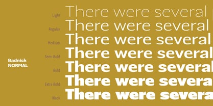 Badnick Font Poster 10