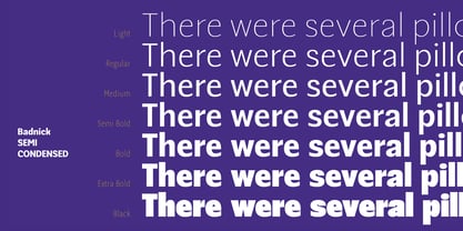 Badnick Font Poster 9