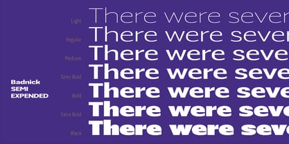 Badnick Font Poster 11