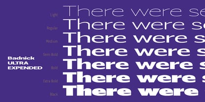 Badnick Font Poster 13