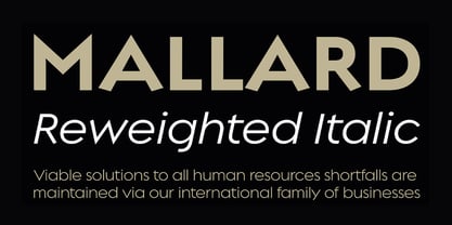 Regulator Nova Font Poster 5