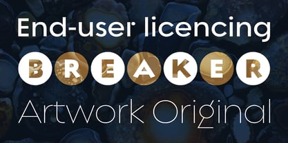 Regulator Nova Font Poster 11