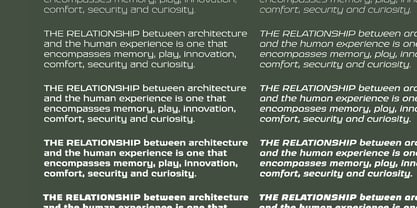 Ritafurey Font Poster 6