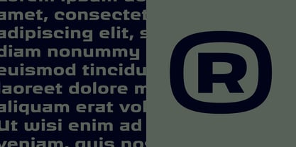 Ritafurey Font Poster 12