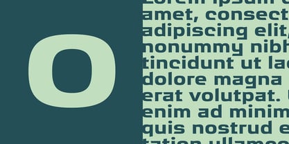Ritafurey Font Poster 3