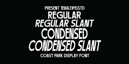 Coast Park Display Font Poster 9