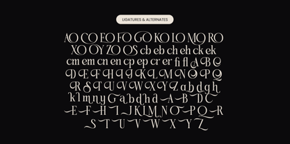 Qinfolk Font Poster 13