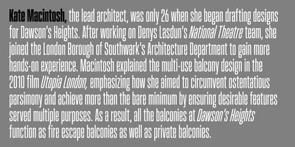 Gaman Variable Font Poster 4