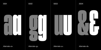 Gaman Variable Font Poster 6