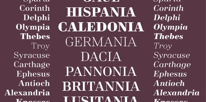 Salient Font Poster 10