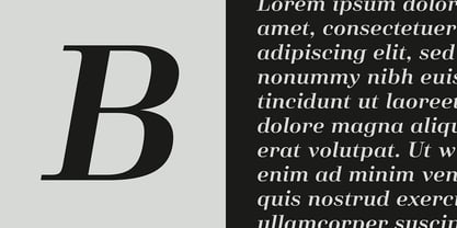 Salient Font Poster 5