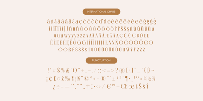 Rich Dashy Font Poster 15