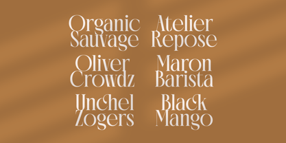 Rich Dashy Font Poster 12