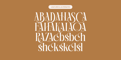 Rich Dashy Font Poster 13