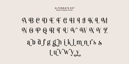 Destiny Gorgeous Font Poster 10