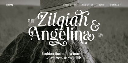 Destiny Gorgeous Font Poster 3