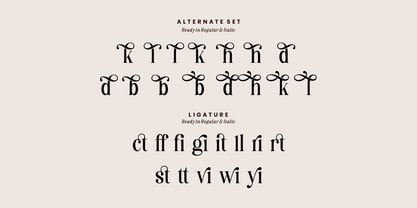 Destiny Gorgeous Font Poster 11