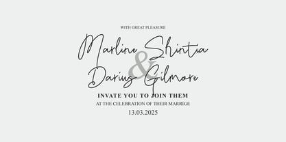 Firdaus Signature Font Poster 8