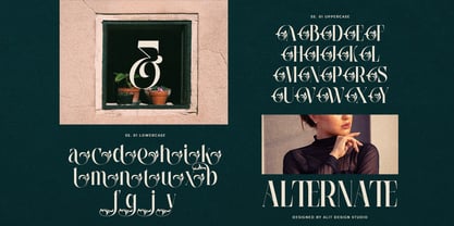 Wiraile Font Poster 8