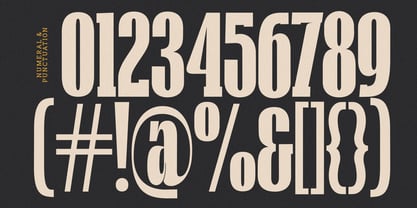 The Broneers Font Poster 8