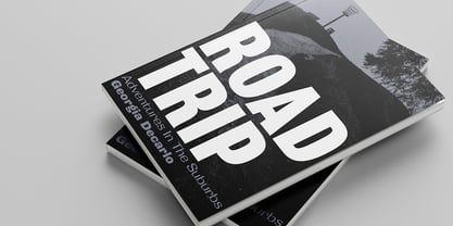 Grange Text Font Poster 4