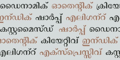 Shree Malayalam 0507 Font Poster 5