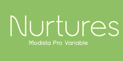 Modista Pro Variable Font Poster 6