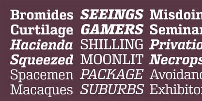 Rutherford Font Poster 6