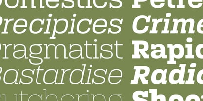 Paralucent Slab Font Poster 5