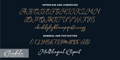 Sundala Script Font Poster 5
