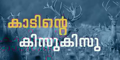 Shree Malayalam 0512 Font Poster 5