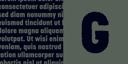 Korolev Rough Font Poster 2