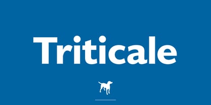 Triticale Font Poster 1