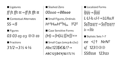 Triticale Font Poster 9