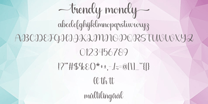 Trendy Mondy Font Poster 6