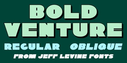 Bold Venture JNL Font Poster 1
