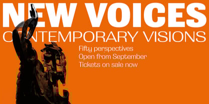 Grange Font Poster 5