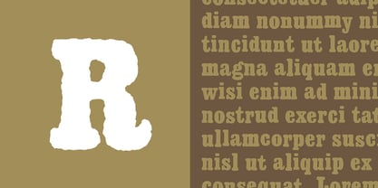 Fairtrade Font Poster 3