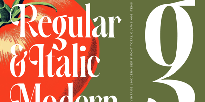 Ketchup Vintage Font Poster 10