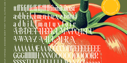 Ketchup Vintage Font Poster 14