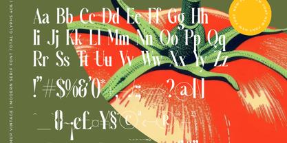 Ketchup Vintage Font Poster 15