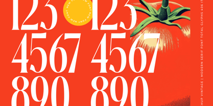 Ketchup Vintage Font Poster 12