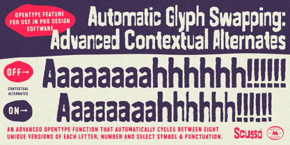 Scusso Font Poster 10