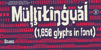 Scusso Font Poster 13