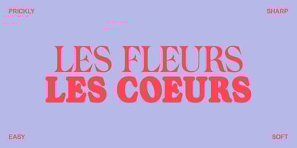 Noemia Font Poster 6
