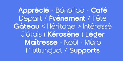 Ws Mogila Font Poster 6