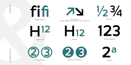 MN Managa Sans Font Poster 8