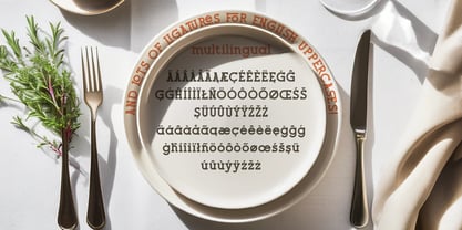 Savory Slab Font Poster 5